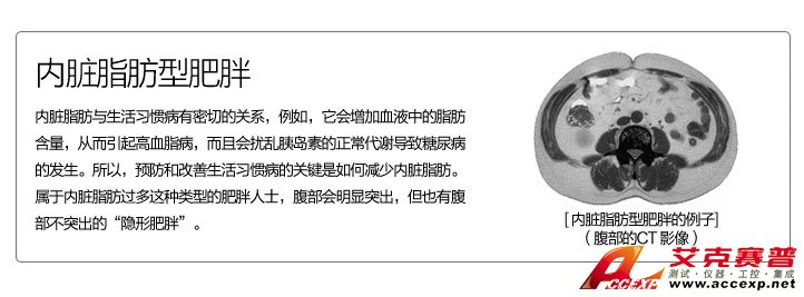 內臟脂肪型肥胖